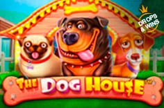 Online Slot The Dog House - Online Cassino PlayFortuna